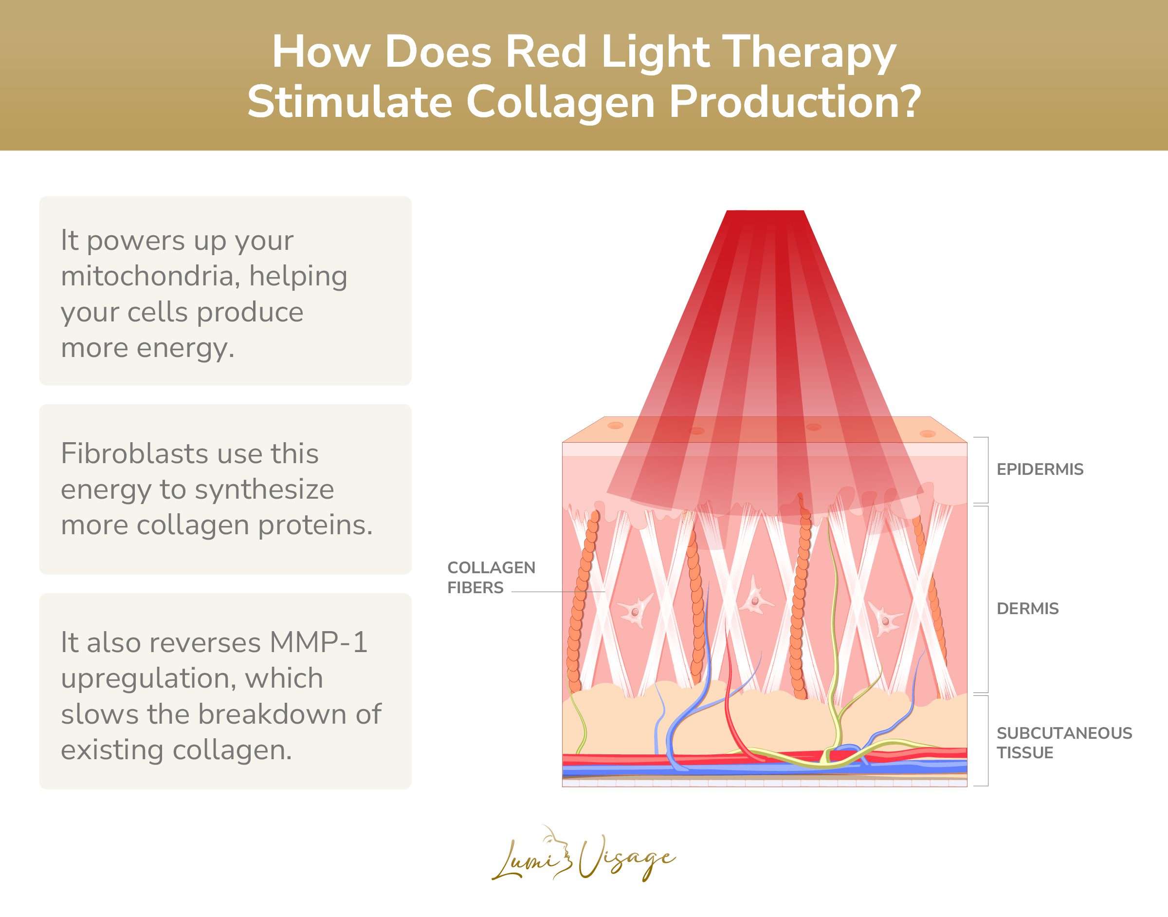 how does red light therapy stimulate collagen production